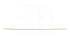 Conservation Travel Foundation Logo