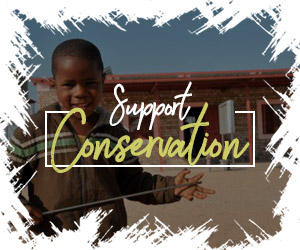 Support Conservation in Namibia